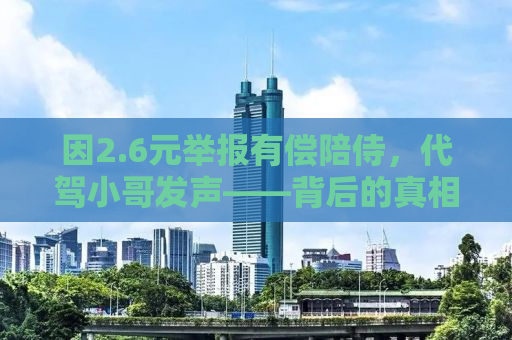 因2.6元举报有偿陪侍，代驾小哥发声——背后的真相与反思