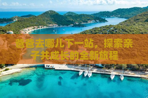 爸爸去哪儿下一站，探索亲子共成长的全新旅程